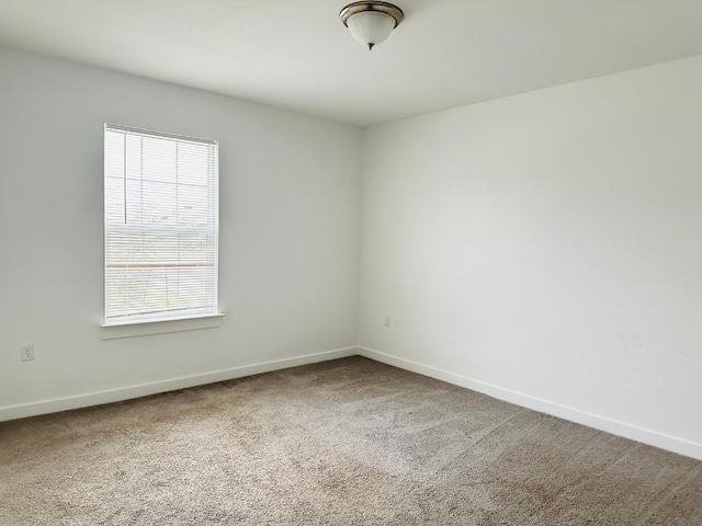 unfurnished room featuring carpet