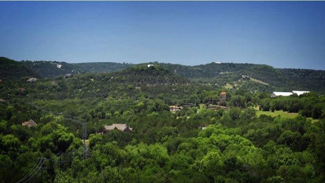 view of mountain feature