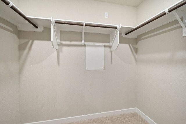 walk in closet with carpet floors