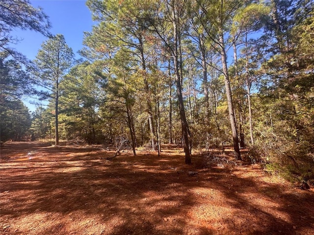 000 Pine Hollow Dr, Bastrop TX, 78602 land for sale