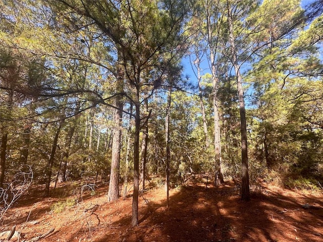 000 Pine Hollow Dr, Bastrop, TX 78602 - photo 2