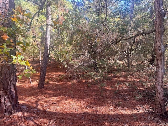 000 Pine Hollow Dr, Bastrop, TX 78602 - photo 3