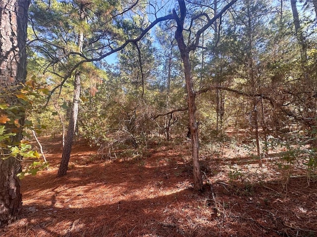 000 Pine Hollow Dr, Bastrop, TX 78602 - photo 4