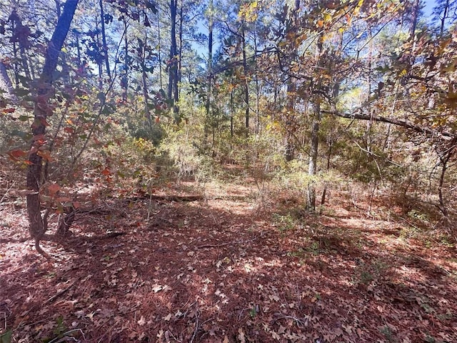000 Pine Hollow Dr, Bastrop, TX 78602 - photo 5