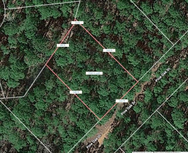 000 Pine Hollow Dr, Bastrop, TX 78602 - photo 10