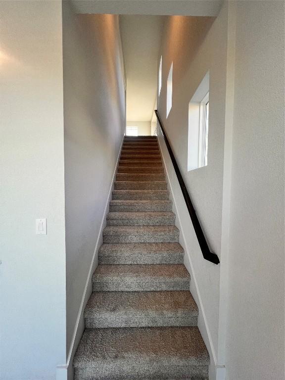 staircase featuring carpet flooring