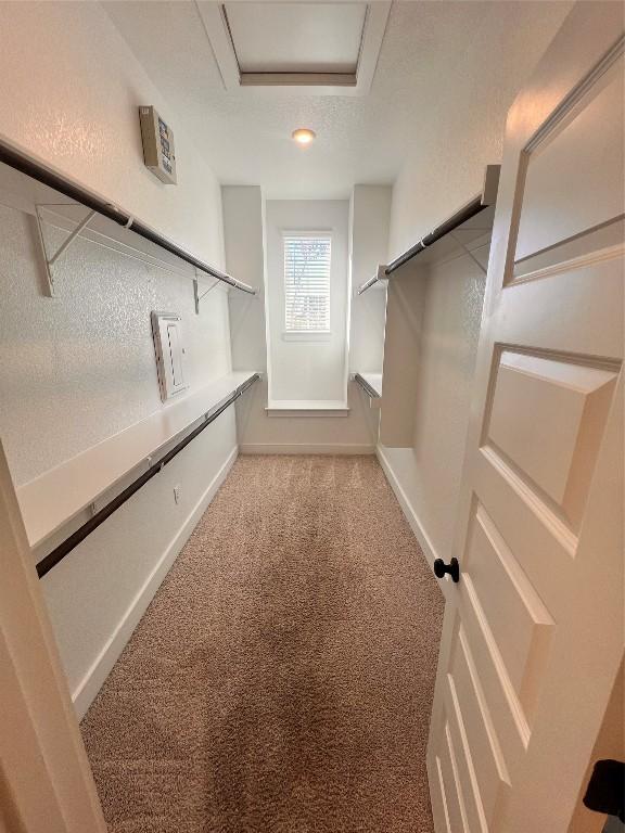 spacious closet featuring light carpet