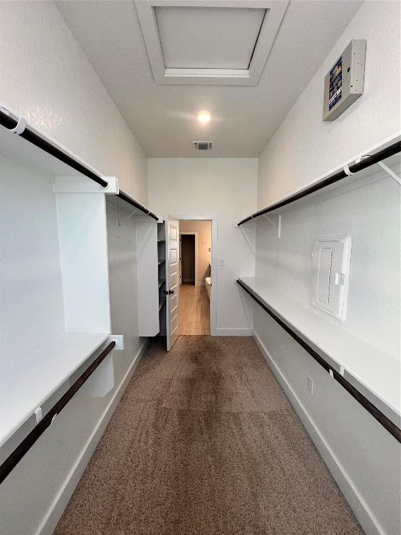 spacious closet with carpet floors