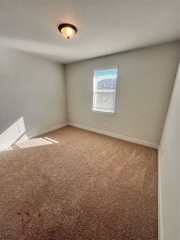 empty room with carpet and a textured ceiling