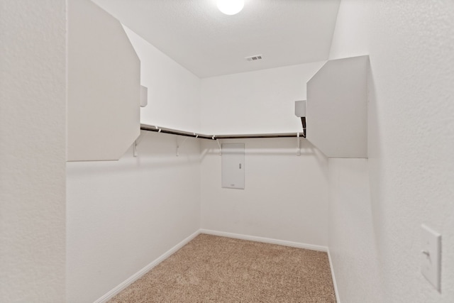 spacious closet featuring electric panel and light colored carpet