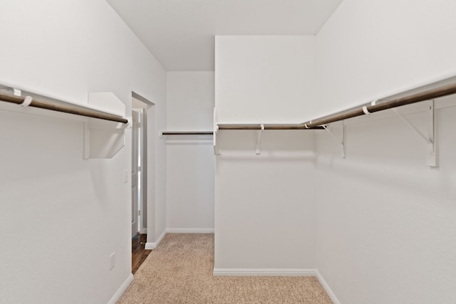 spacious closet with carpet floors