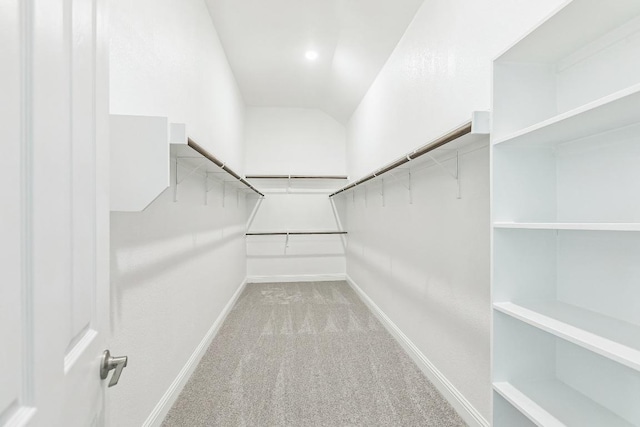 spacious closet with carpet