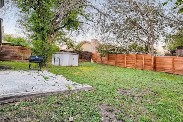 view of yard with a patio area and a storage shed