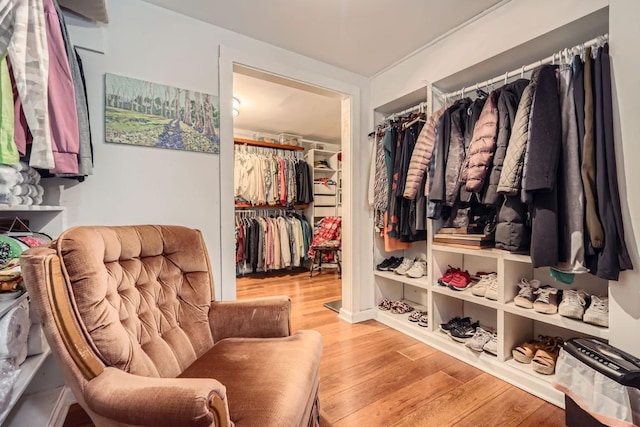 spacious closet featuring light hardwood / wood-style floors