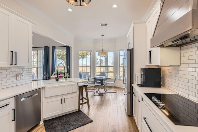 kitchen featuring premium range hood, stainless steel appliances, sink, light hardwood / wood-style floors, and white cabinetry