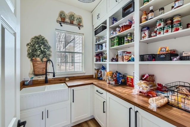 pantry with sink