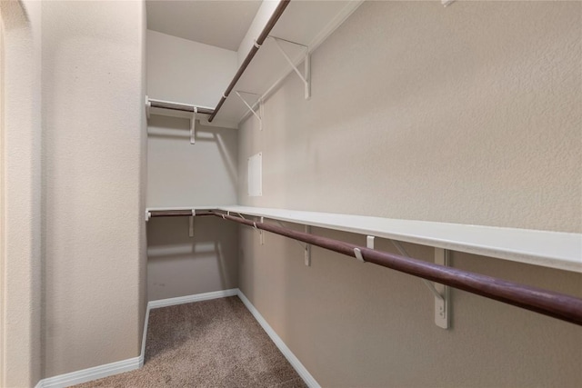 walk in closet featuring carpet flooring