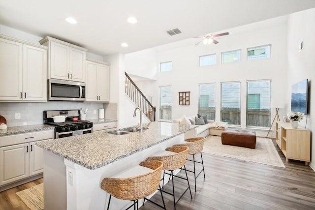 kitchen featuring plenty of natural light, light hardwood / wood-style floors, stainless steel appliances, and a kitchen island with sink