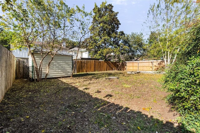 view of yard with a storage shed