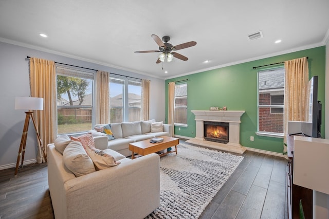 living room with ceiling fan, crown molding, and dark wood-type flooring