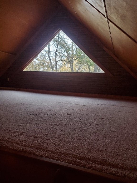 additional living space with carpet and lofted ceiling