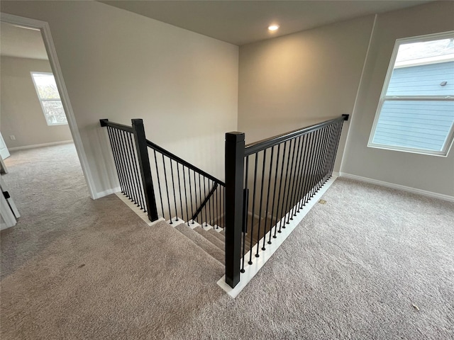 stairway with carpet floors