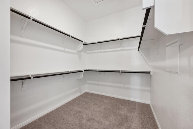 walk in closet featuring light carpet