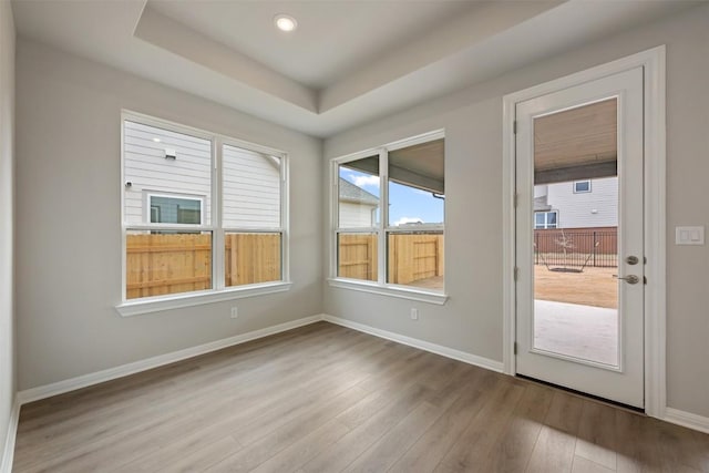 unfurnished room featuring a raised ceiling and light wood-type flooring