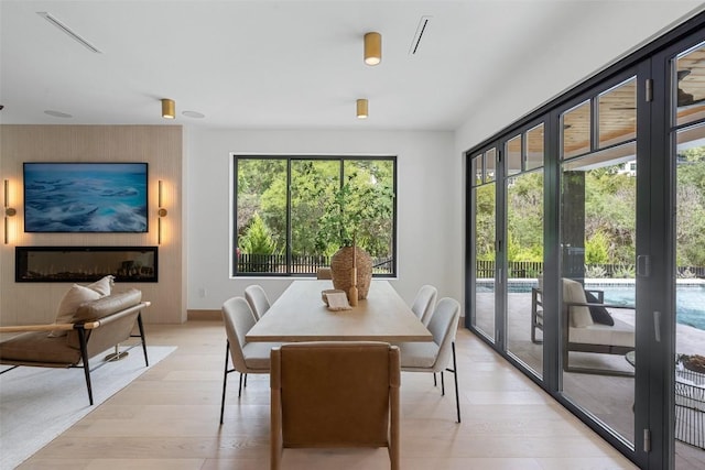 dining room with light hardwood / wood-style flooring