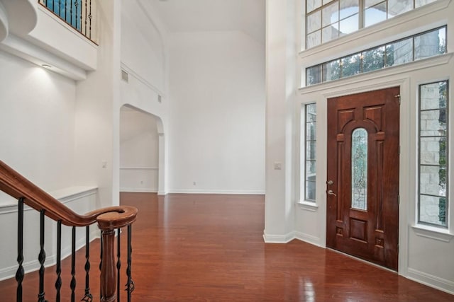 foyer with a high ceiling, dark hardwood / wood-style floors, and plenty of natural light