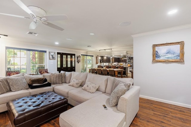 living room with crown molding, dark hardwood / wood-style flooring, ceiling fan, and a healthy amount of sunlight