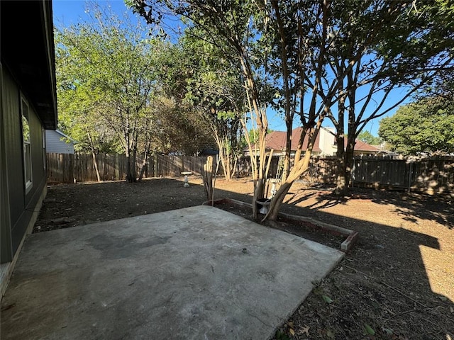 view of yard featuring a patio area