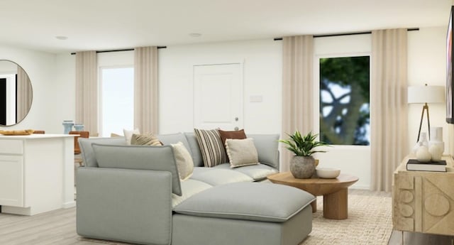 living room featuring light hardwood / wood-style floors