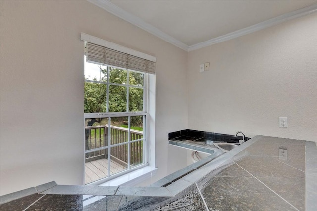 interior space featuring crown molding and sink