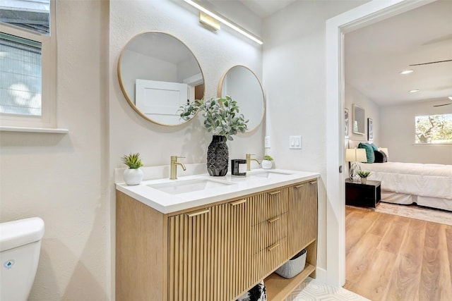 bathroom with ceiling fan, toilet, vanity, and hardwood / wood-style flooring