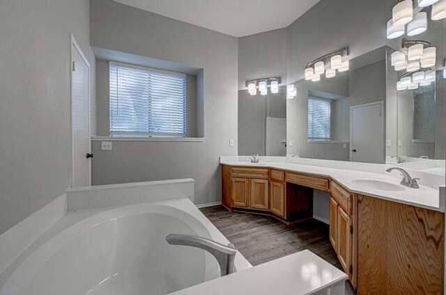 bathroom with wood-type flooring, vanity, and a bathing tub