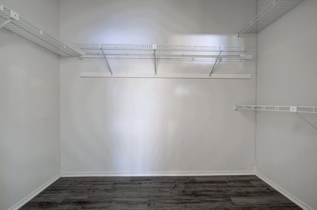 spacious closet featuring dark wood-style floors