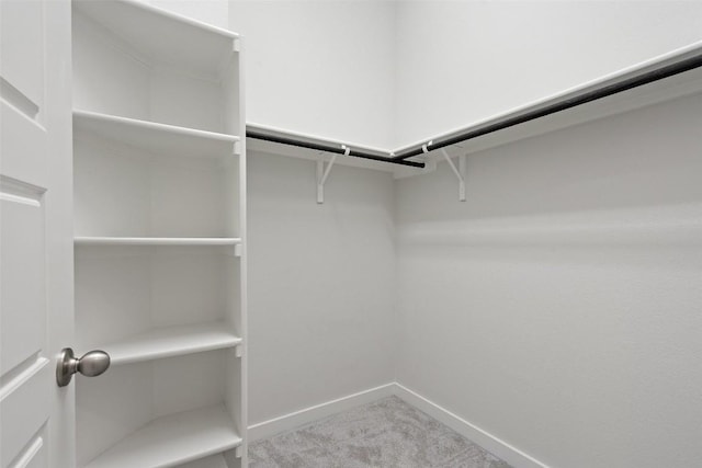 walk in closet with carpet