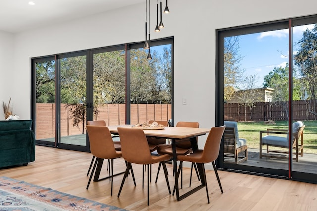 dining space featuring light hardwood / wood-style floors