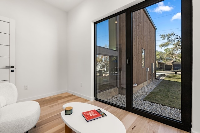 interior space featuring plenty of natural light and light hardwood / wood-style flooring