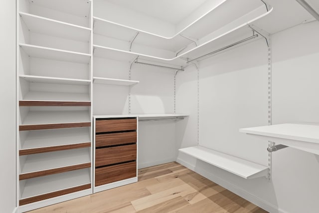 spacious closet featuring light wood-type flooring