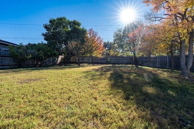 view of yard