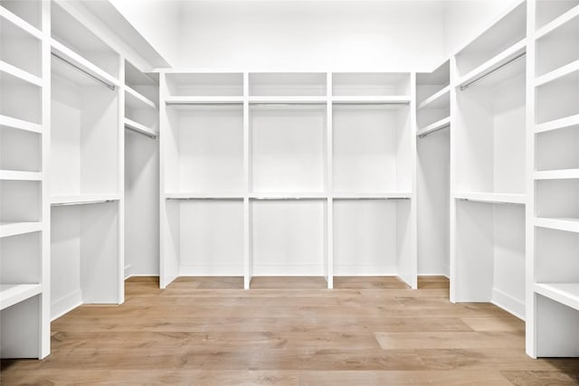 spacious closet with wood-type flooring