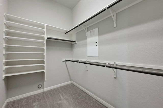 spacious closet with carpet floors