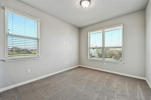 spare room featuring a wealth of natural light and carpet floors