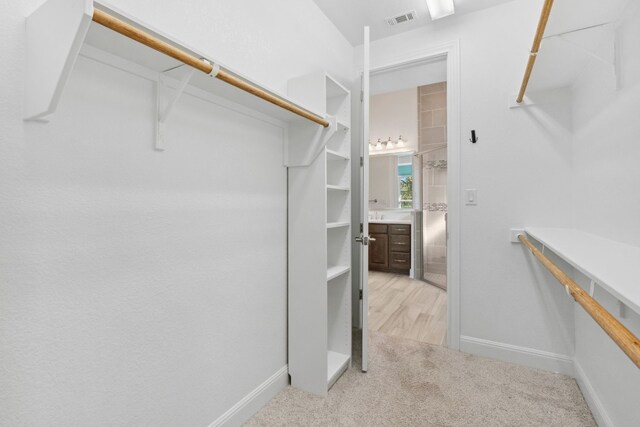 spacious closet featuring light carpet