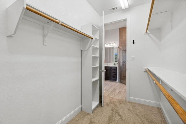 5152 Cornetto Blfs, Round Rock, TX 78665 - spacious closet with light carpet