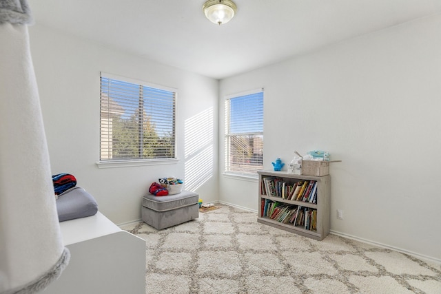 sitting room with light colored carpet