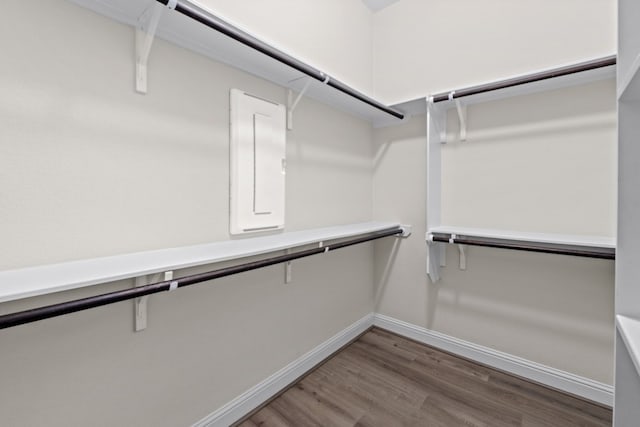 spacious closet featuring hardwood / wood-style flooring and electric panel