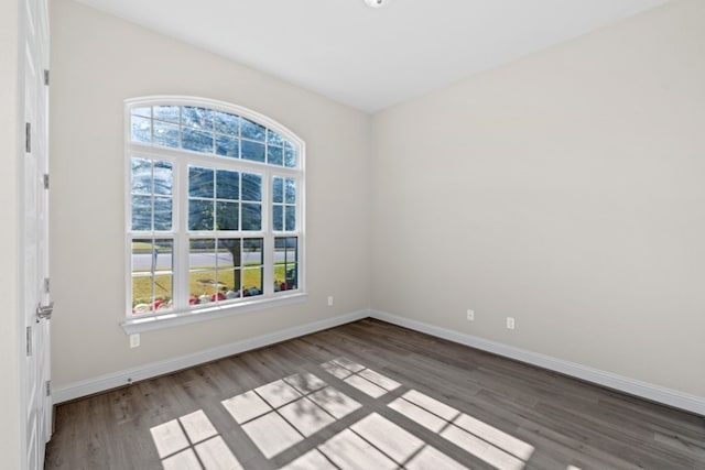 empty room with a healthy amount of sunlight and light hardwood / wood-style floors